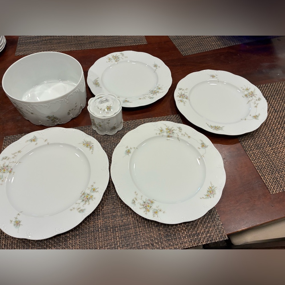 Vintage Rosenthal Classic Rose Collection Dinnerware Set